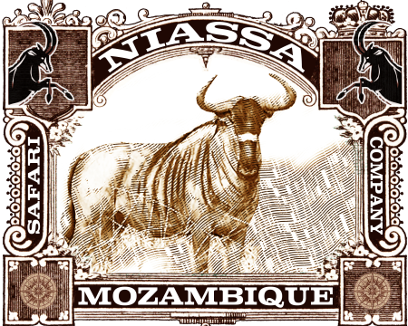 niassa-logo-2021-printwebversion